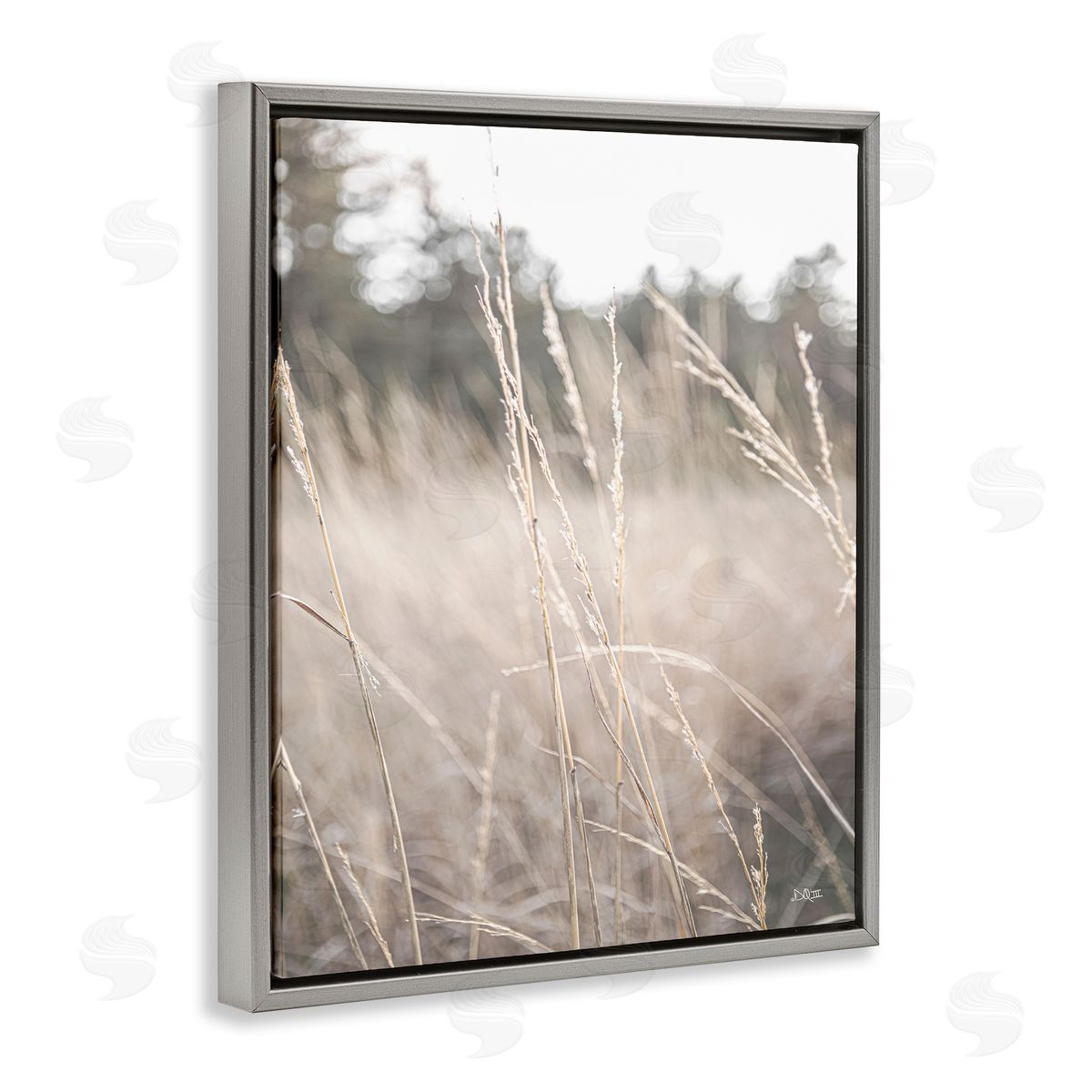 Donnie Quillen Warm Rural Field Tall Grass Countryside Scenery  Gray Floating Frame Canvas Wall Art Print