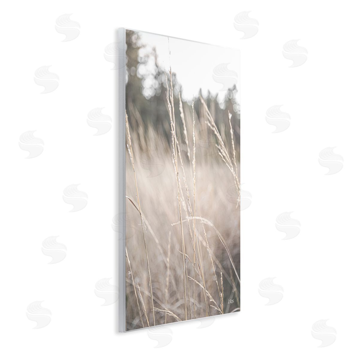 Donnie Quillen Warm Rural Field Tall Grass Countryside Scenery  Wall Plaque Art Print