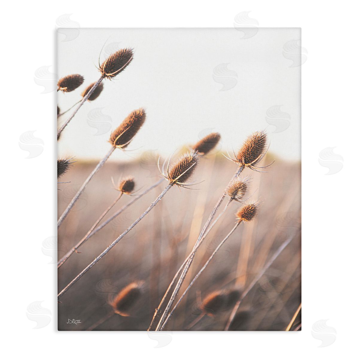 Donnie Quillen Tranquil Plant Buds Sprouts Country Meadow Grass  Stretched Canvas Wall Art Print