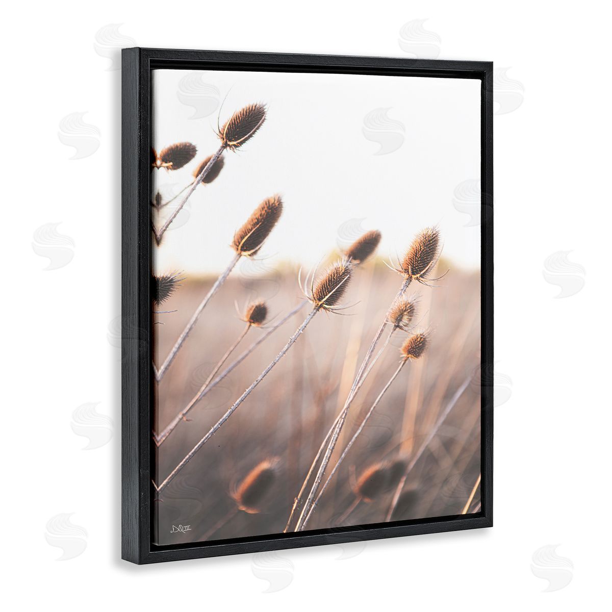 Donnie Quillen Tranquil Plant Buds Sprouts Country Meadow Grass  Black Floating Frame Canvas Wall Art Print