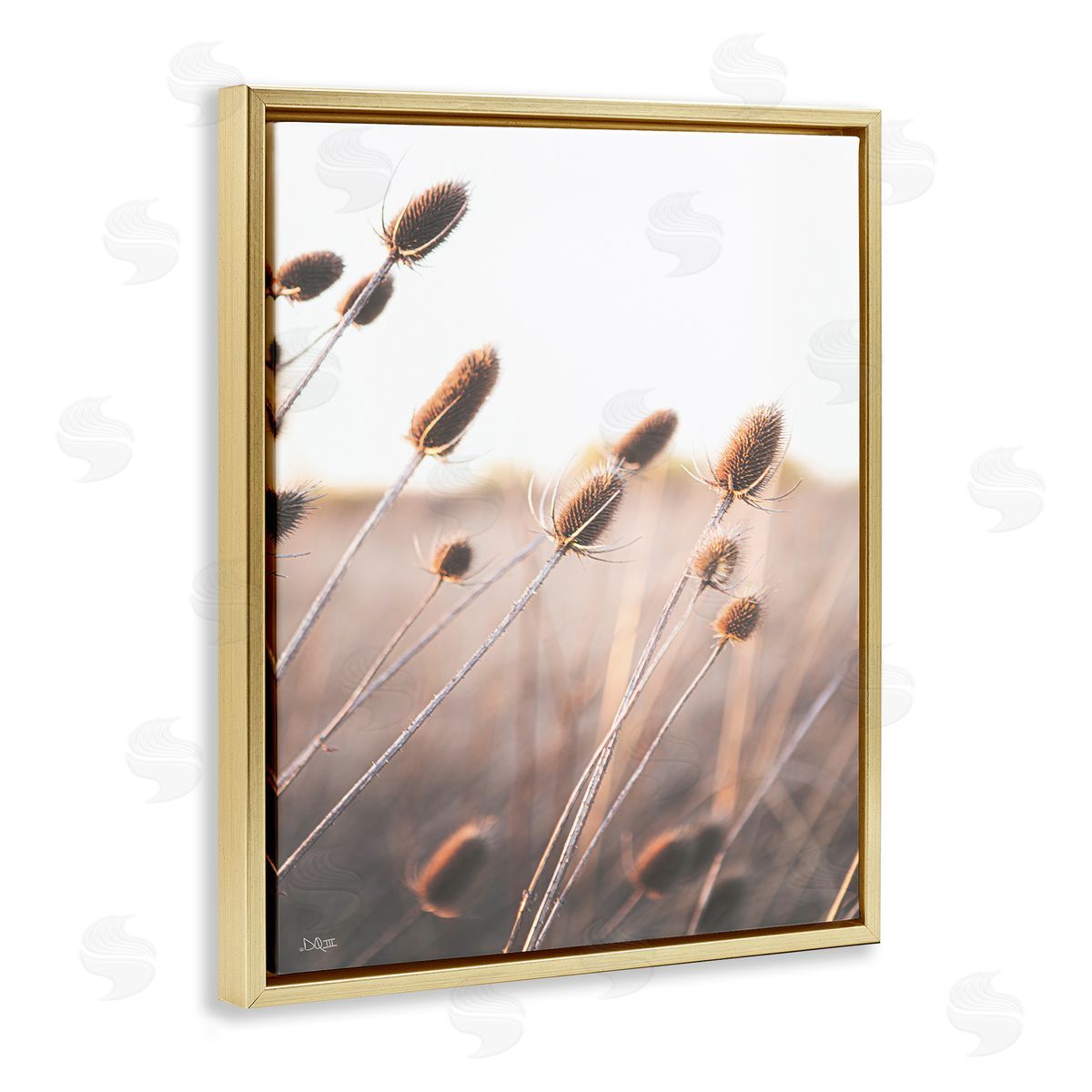Donnie Quillen Tranquil Plant Buds Sprouts Country Meadow Grass  Gold Floating Frame Canvas Wall Art Print