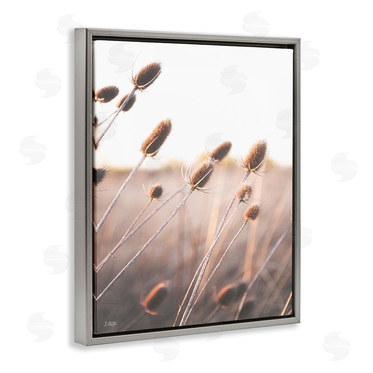 Donnie Quillen Tranquil Plant Buds Sprouts Country Meadow Grass  Gray Floating Frame Canvas Wall Art Print