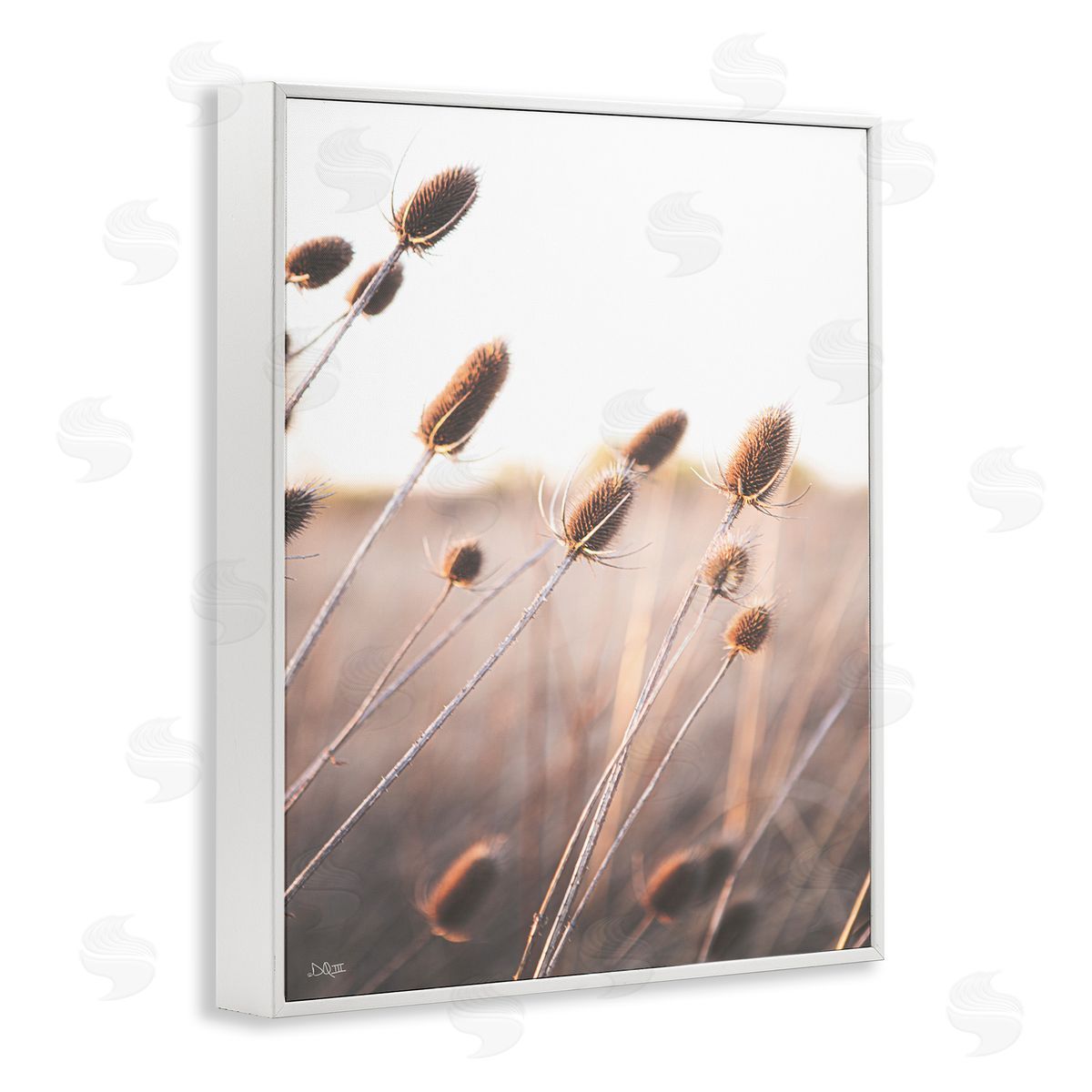 Donnie Quillen Tranquil Plant Buds Sprouts Country Meadow Grass  White Framed Giclee Wall Art Print