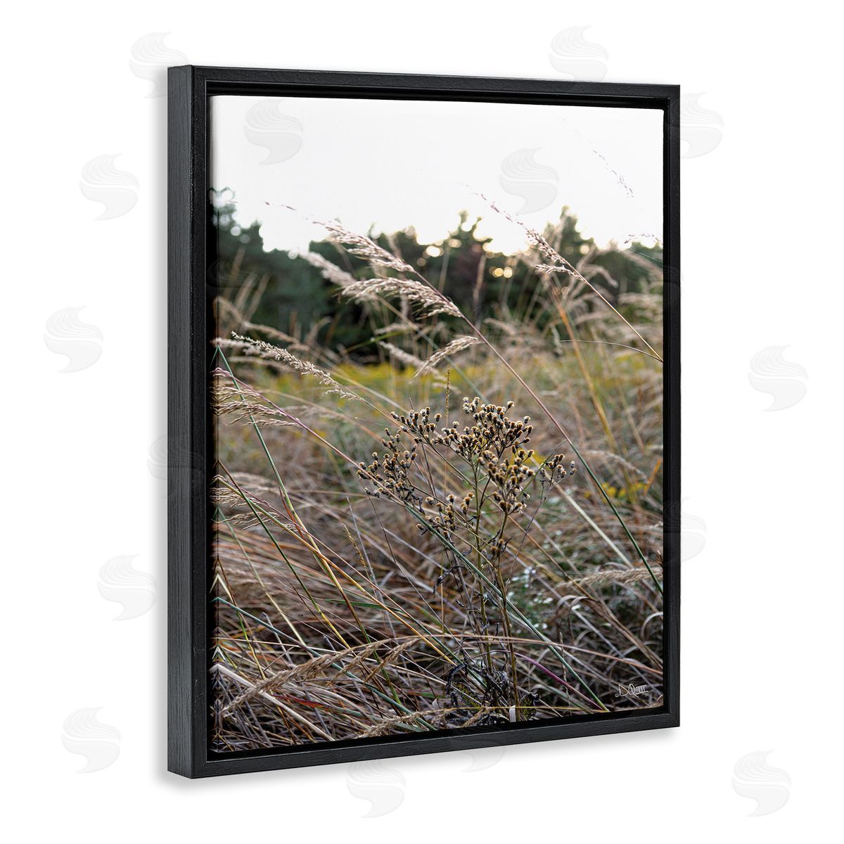 Donnie Quillen Countryside Meadow Blooming Reeds Tall Grass Buds  Black Floating Frame Canvas Wall Art Print