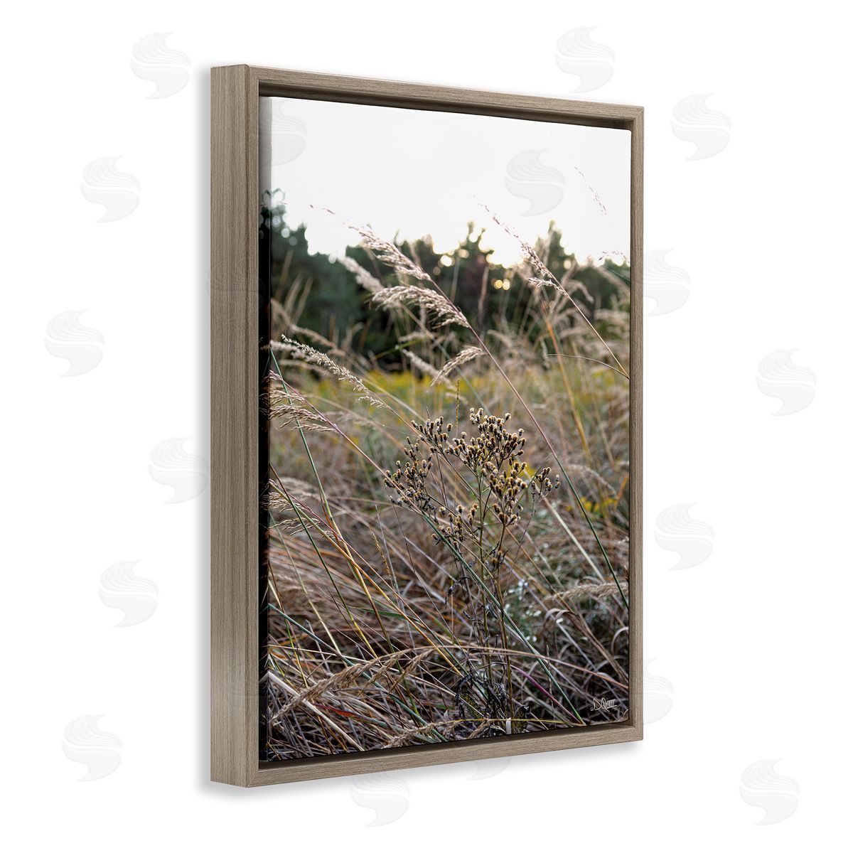 Donnie Quillen Countryside Meadow Blooming Reeds Tall Grass Buds  Brown Floating Frame Canvas Wall Art Print