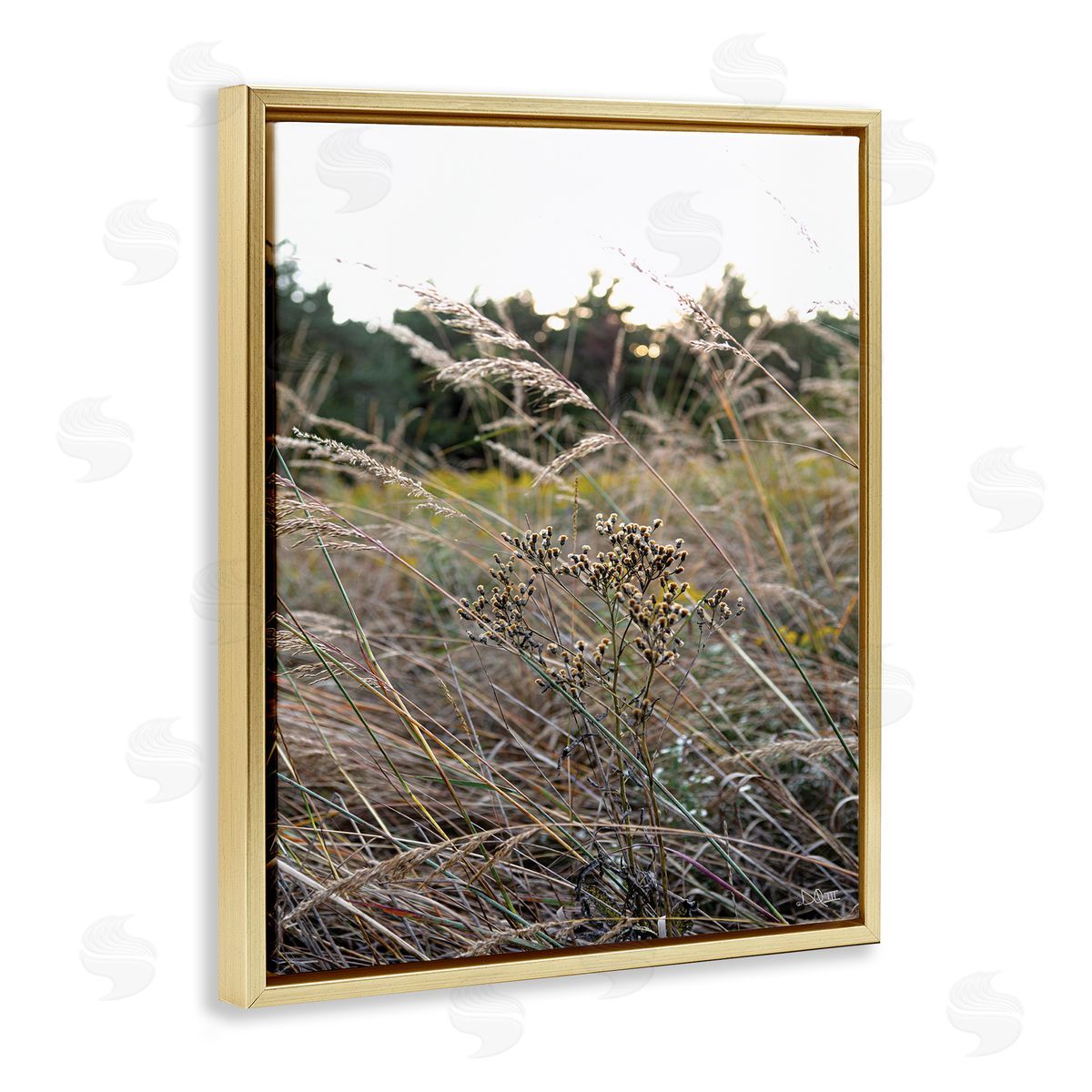 Donnie Quillen Countryside Meadow Blooming Reeds Tall Grass Buds  Gold Floating Frame Canvas Wall Art Print