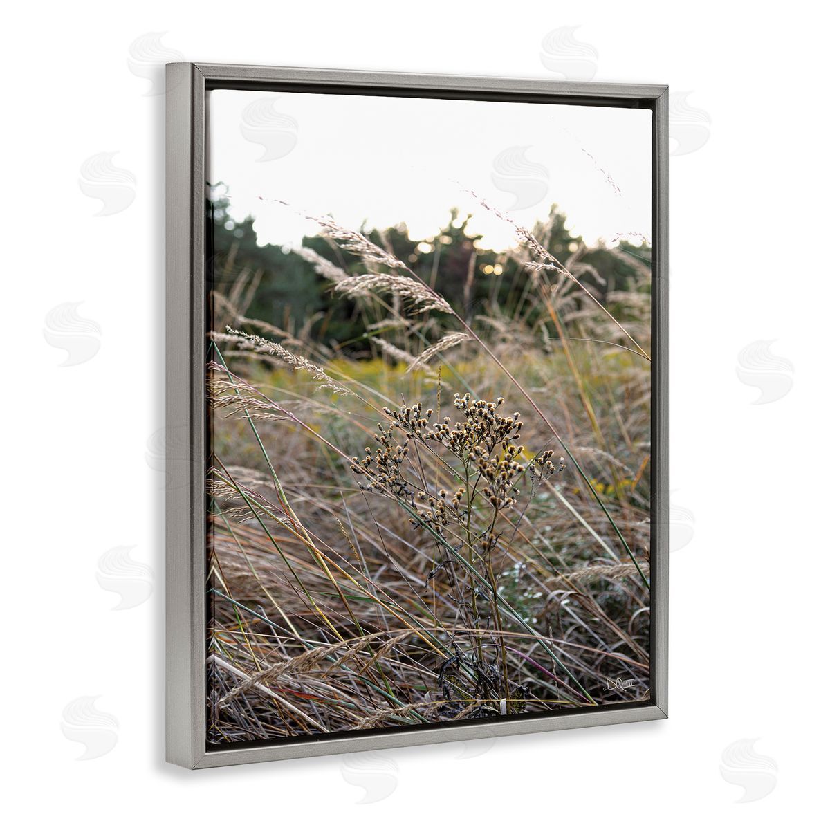 Donnie Quillen Countryside Meadow Blooming Reeds Tall Grass Buds  Gray Floating Frame Canvas Wall Art Print