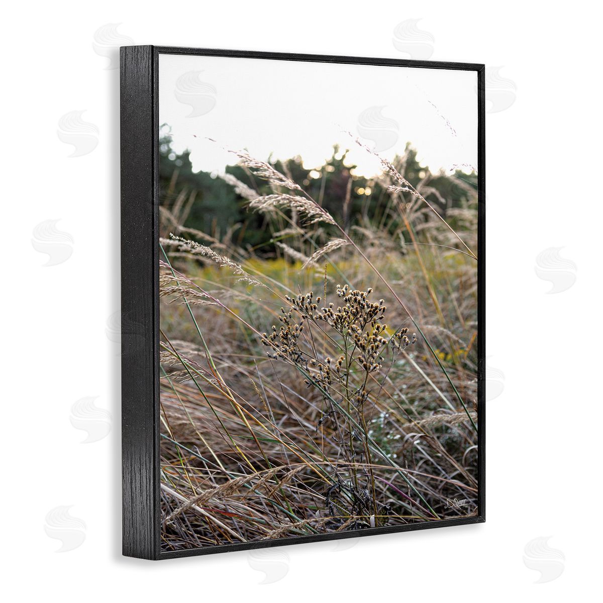 Donnie Quillen Countryside Meadow Blooming Reeds Tall Grass Buds  Black Framed Giclee Wall Art Print