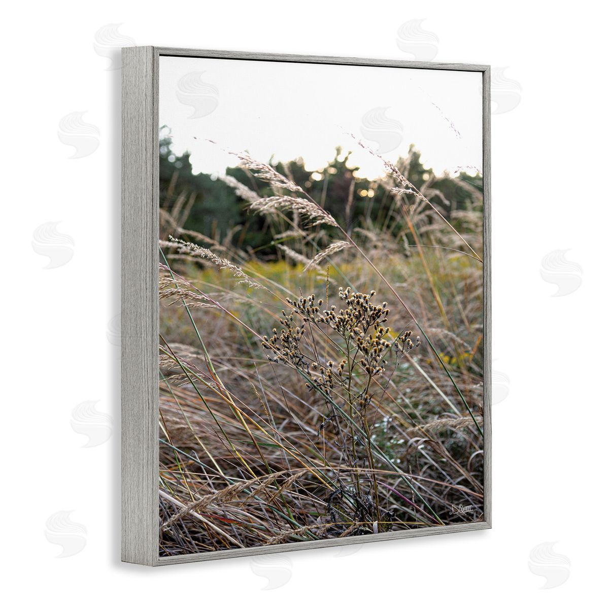 Donnie Quillen Countryside Meadow Blooming Reeds Tall Grass Buds  Gray Framed Giclee Wall Art Print