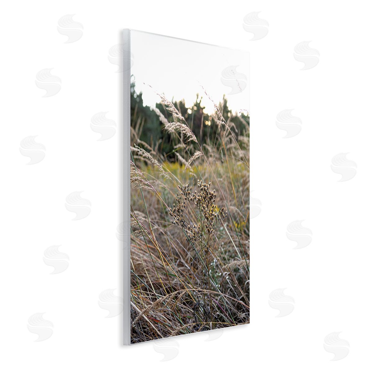 Donnie Quillen Countryside Meadow Blooming Reeds Tall Grass Buds  Wall Plaque Art Print