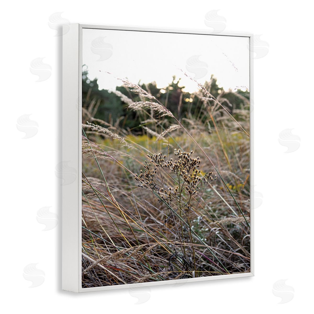Donnie Quillen Countryside Meadow Blooming Reeds Tall Grass Buds  White Framed Giclee Wall Art Print