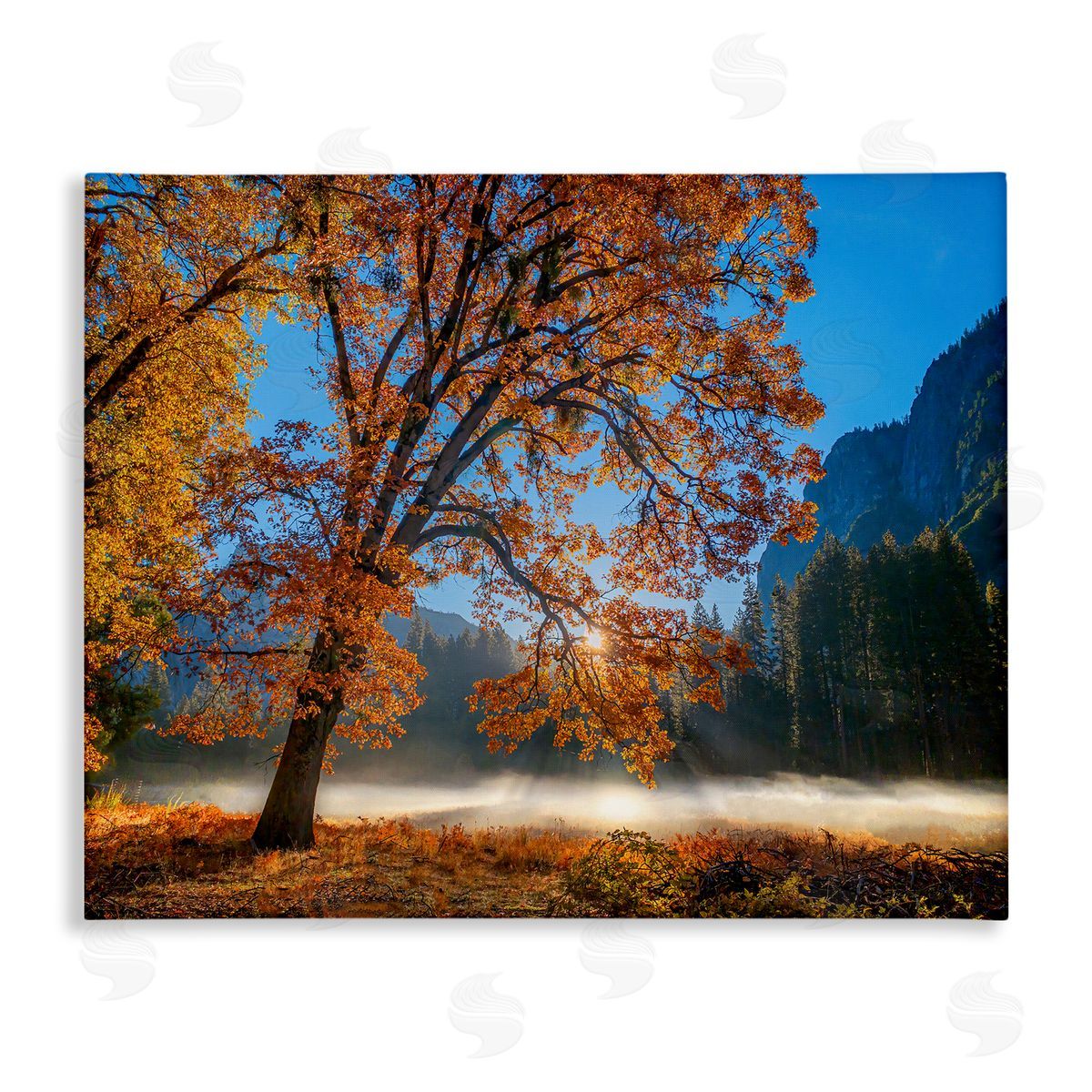 John Gavrilis Autumn Trees Foliage Beautiful Sun Rays Peeking Horizon  Stretched Canvas Wall Art Print