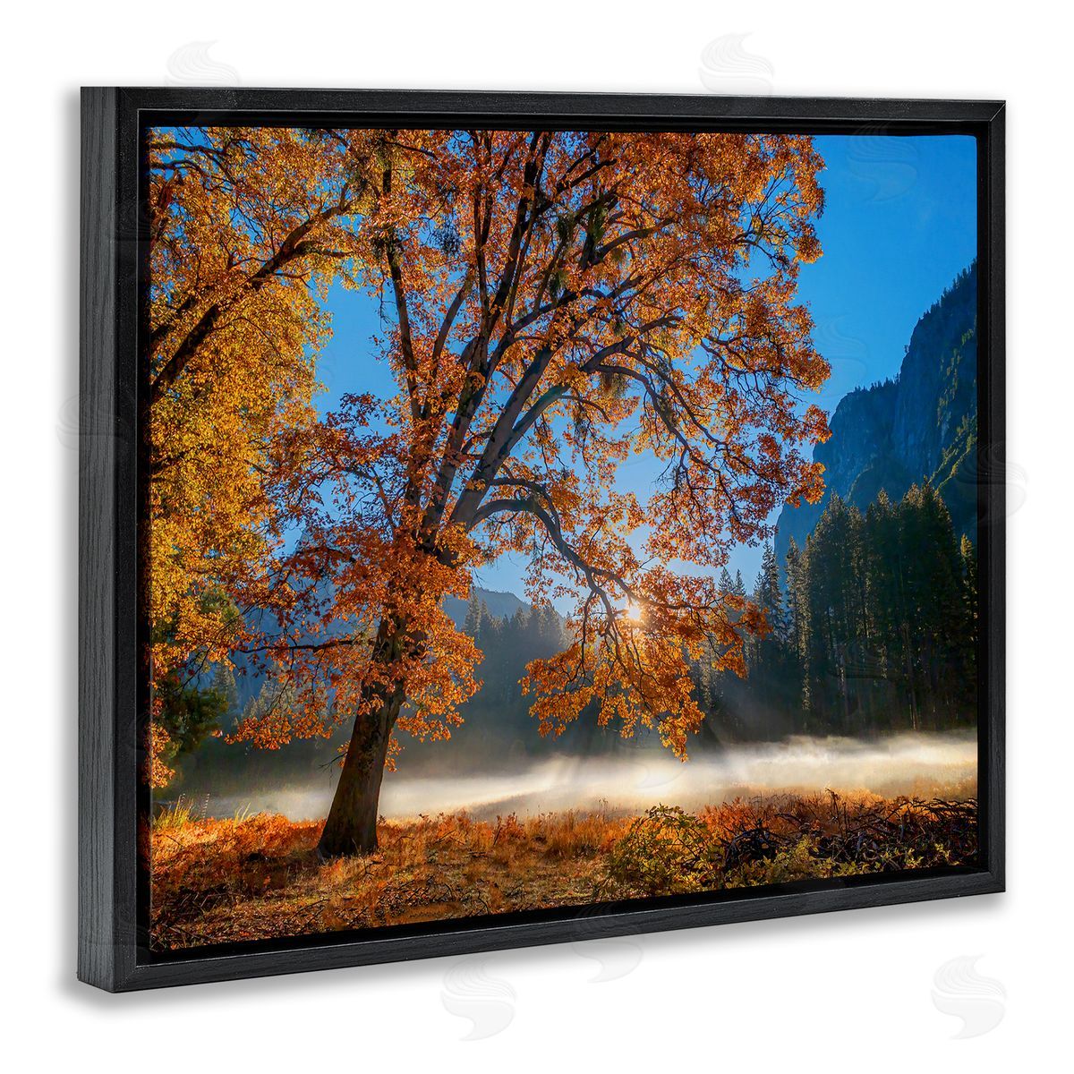 John Gavrilis Autumn Trees Foliage Beautiful Sun Rays Peeking Horizon  Black Floating Frame Canvas Wall Art Print