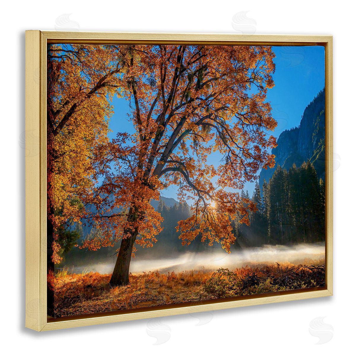 John Gavrilis Autumn Trees Foliage Beautiful Sun Rays Peeking Horizon  Gold Floating Frame Canvas Wall Art Print