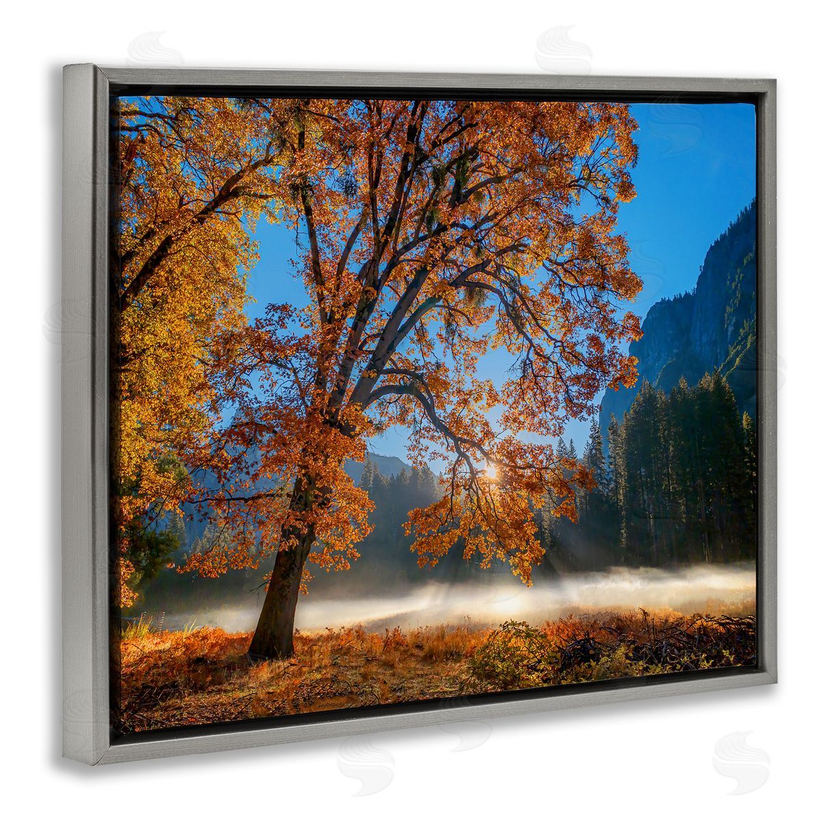 John Gavrilis Autumn Trees Foliage Beautiful Sun Rays Peeking Horizon  Gray Floating Frame Canvas Wall Art Print