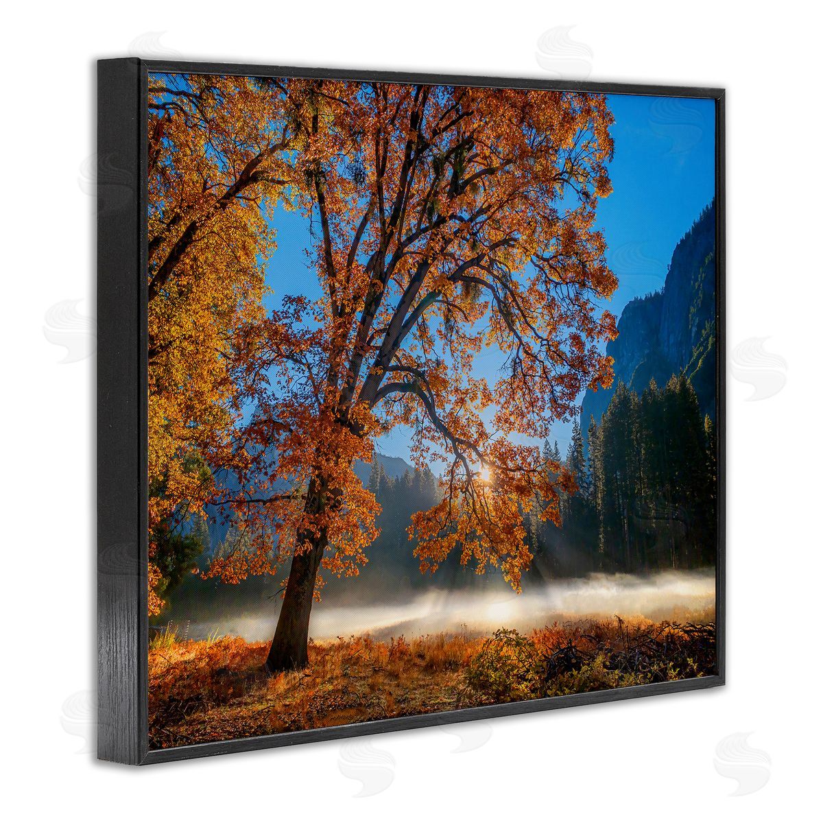 John Gavrilis Autumn Trees Foliage Beautiful Sun Rays Peeking Horizon  Black Framed Giclee Wall Art Print