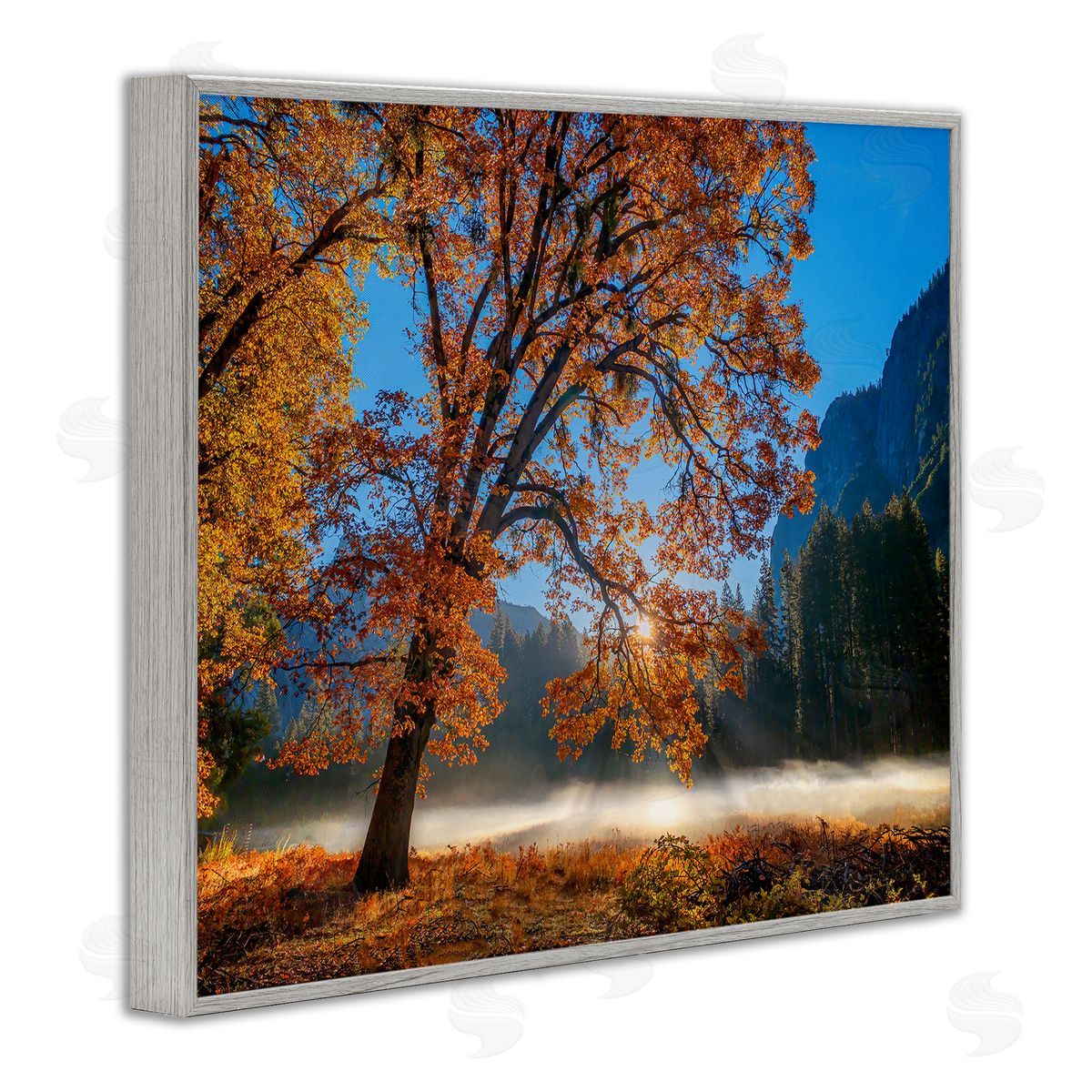 John Gavrilis Autumn Trees Foliage Beautiful Sun Rays Peeking Horizon  Gray Framed Giclee Wall Art Print