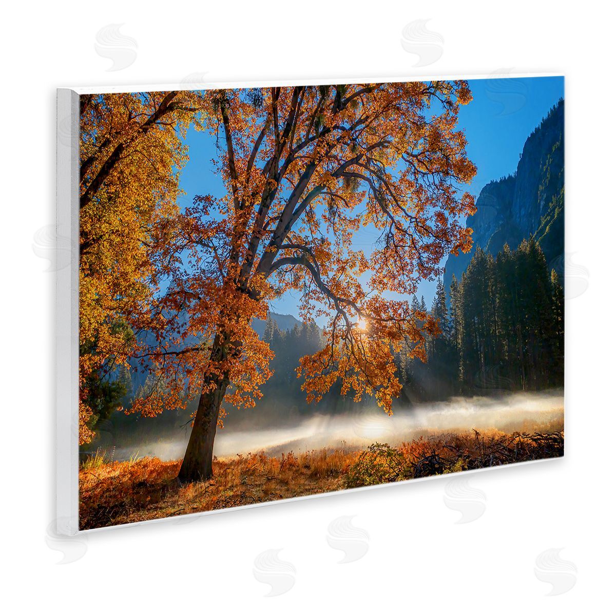 John Gavrilis Autumn Trees Foliage Beautiful Sun Rays Peeking Horizon  Wall Plaque Art Print
