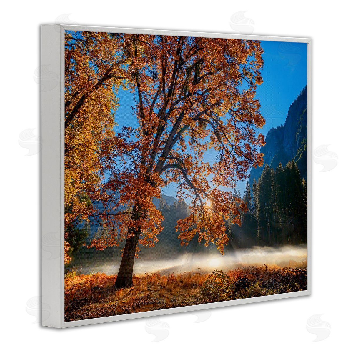 John Gavrilis Autumn Trees Foliage Beautiful Sun Rays Peeking Horizon  White Framed Giclee Wall Art Print