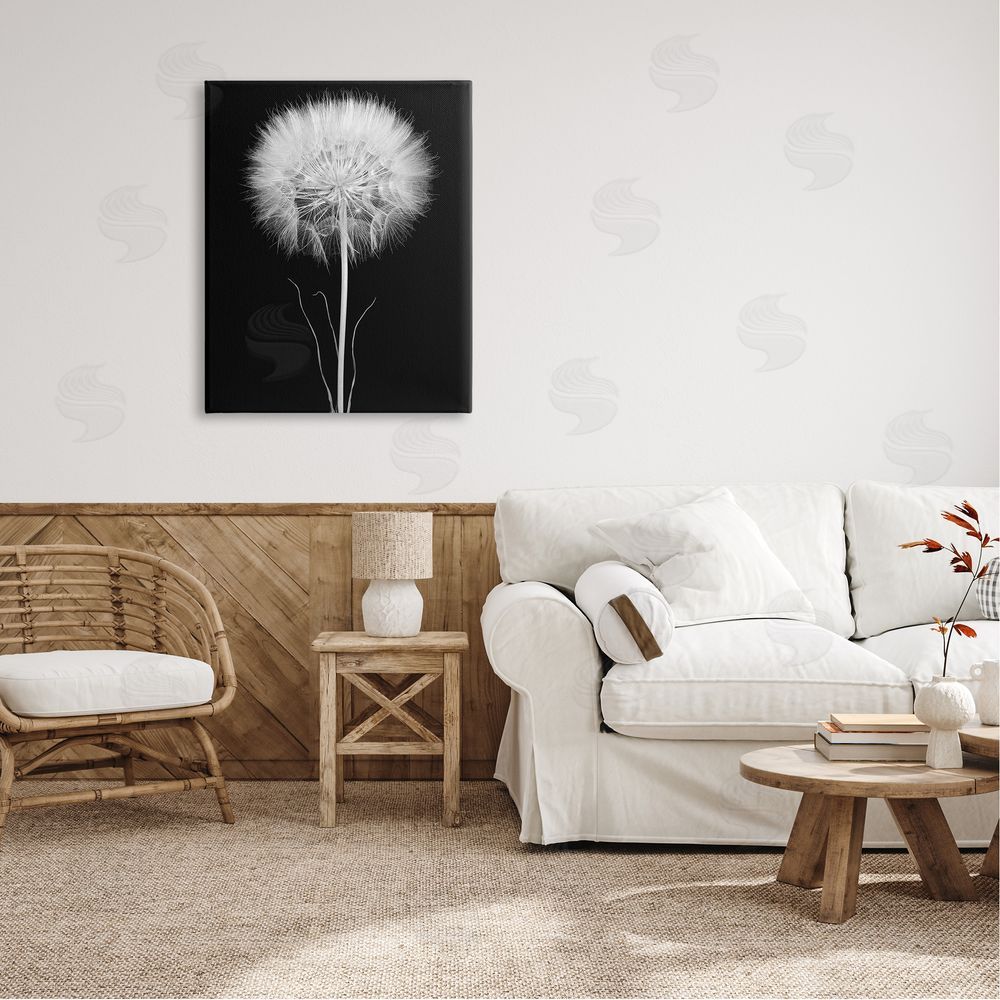 Jadei Graphics Modern Fluffy Dandelion Stem Black & White Photography  Canvas Wall Art Print in Room