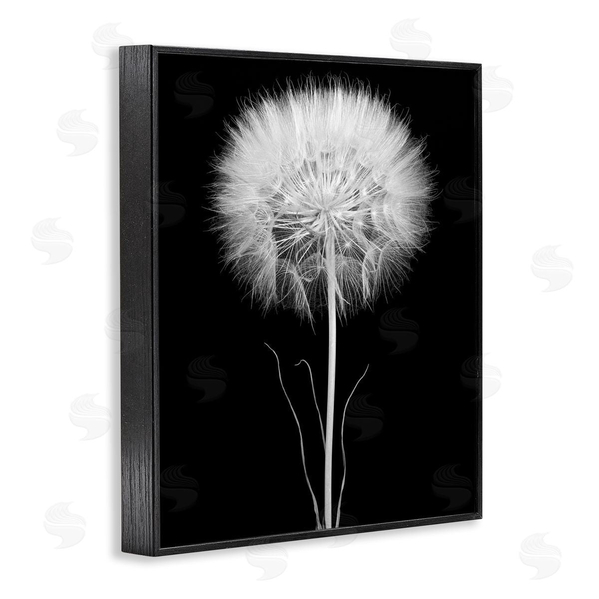 Jadei Graphics Modern Fluffy Dandelion Stem Black & White Photography  Black Framed Giclee Wall Art Print