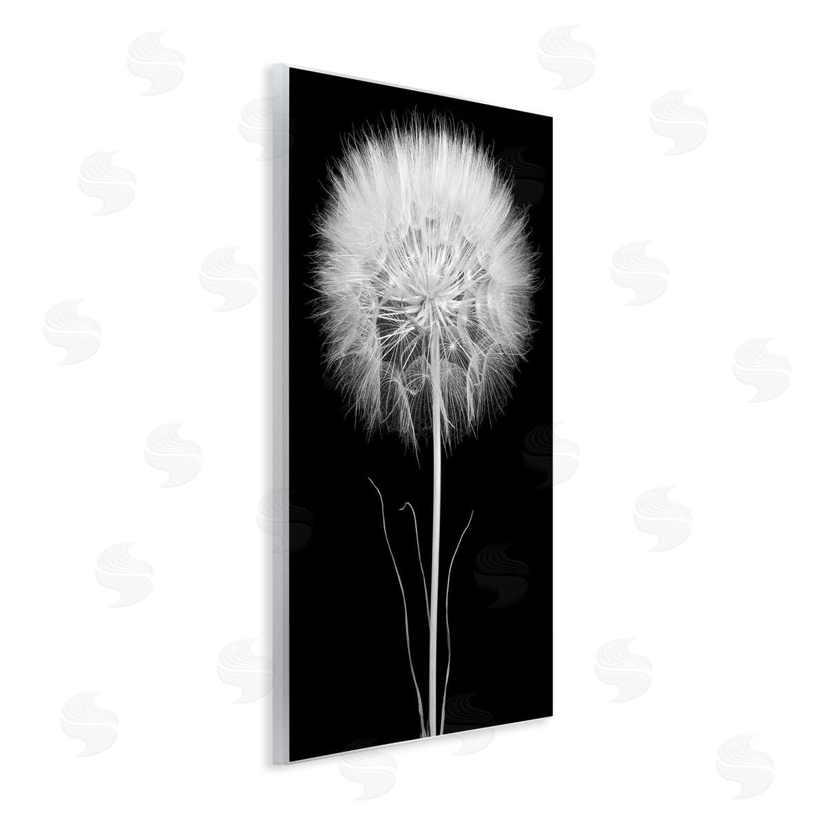 Jadei Graphics Modern Fluffy Dandelion Stem Black & White Photography  Wall Plaque Art Print