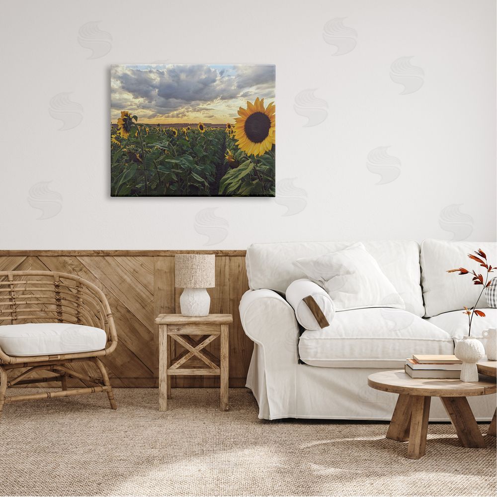 Kali Wilson Sunny Sunflower Patch Field Panoramic Cloudy Sky  Canvas Wall Art Print in Room