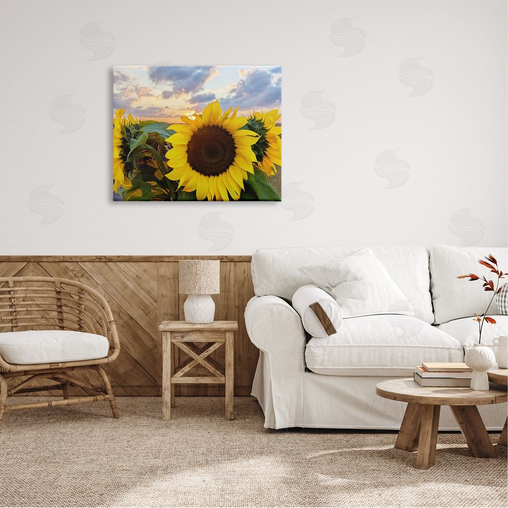 Kali Wilson Bright Yellow Sunflowers Blooming Warm Sunrise Sky  Canvas Wall Art Print in Room