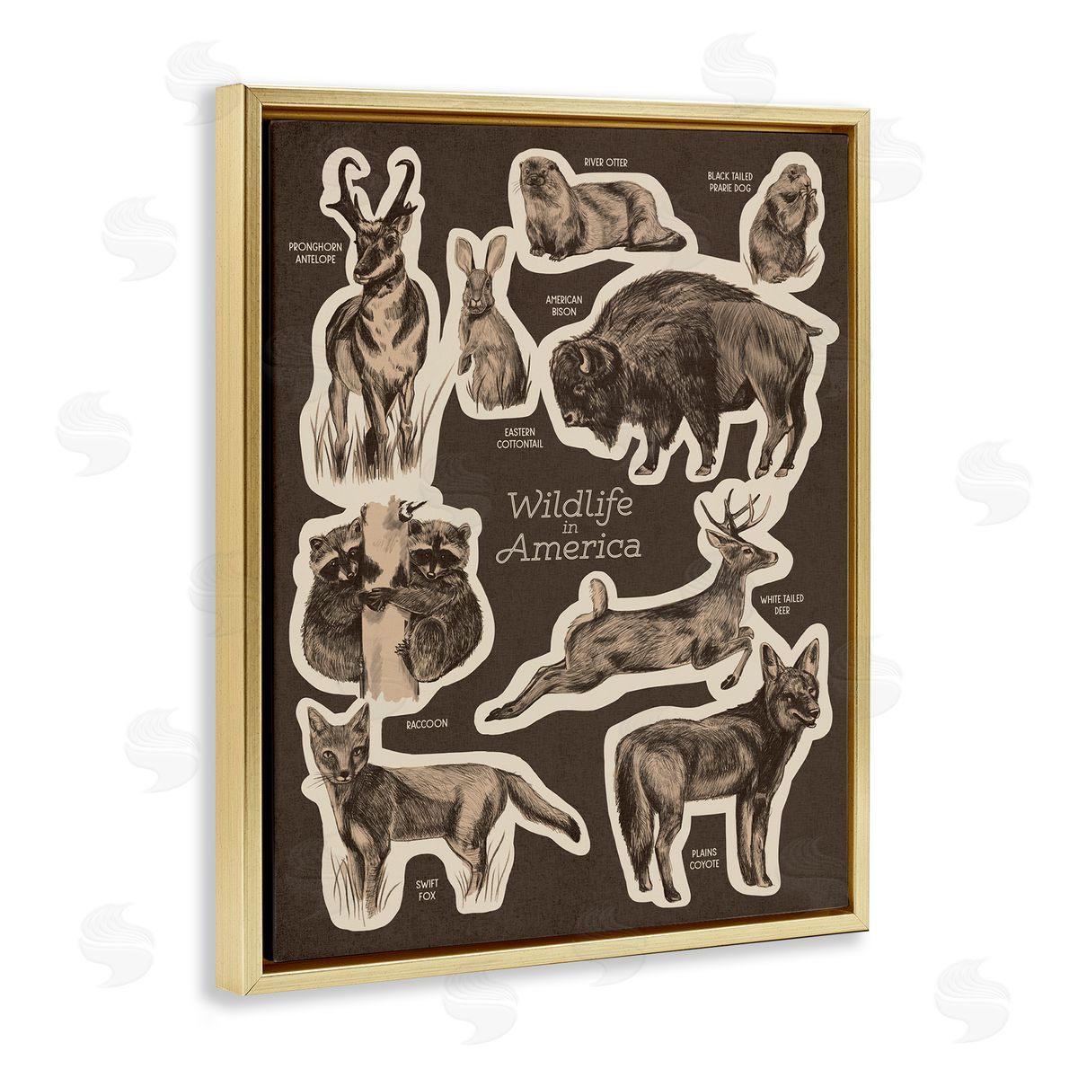Stupell Studio Wildlife Of America Mixed Animals Chart Brown  Gold Floating Frame Canvas Wall Art Print