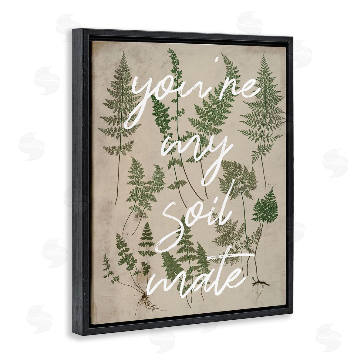 Stupell Studio You're My Soil Mate Rustic Fern Calligraphy Black Floating Frame Canvas Wall Art Print