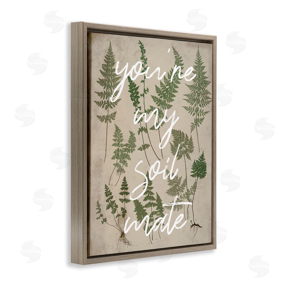 Stupell Studio You're My Soil Mate Rustic Fern Calligraphy Brown Floating Frame Canvas Wall Art Print
