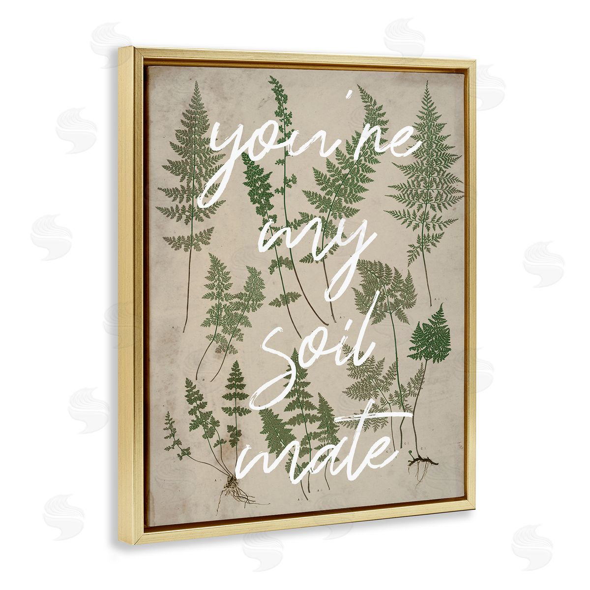 Stupell Studio You're My Soil Mate Rustic Fern Calligraphy Gold Floating Frame Canvas Wall Art Print