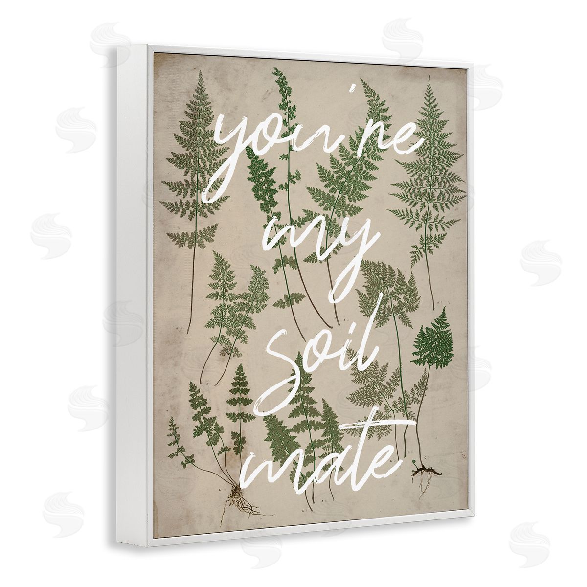 Stupell Studio You're My Soil Mate Rustic Fern Calligraphy White Framed Giclee Wall Art Print