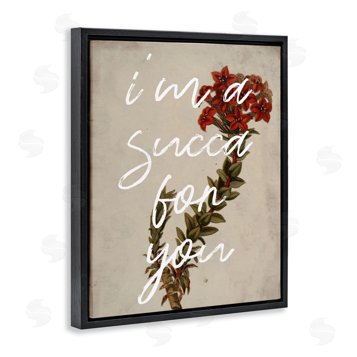 Stupell Studio Succa For You Romantic Witty Plant Humor Phrase  Black Floating Frame Canvas Wall Art Print