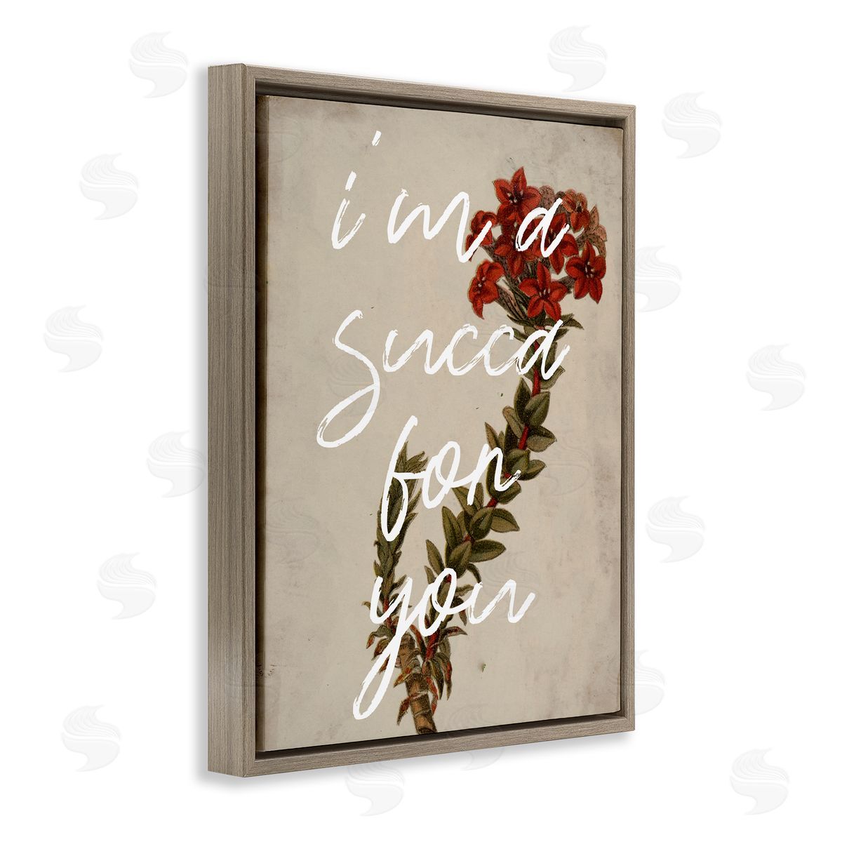 Stupell Studio Succa For You Romantic Witty Plant Humor Phrase  Brown Floating Frame Canvas Wall Art Print