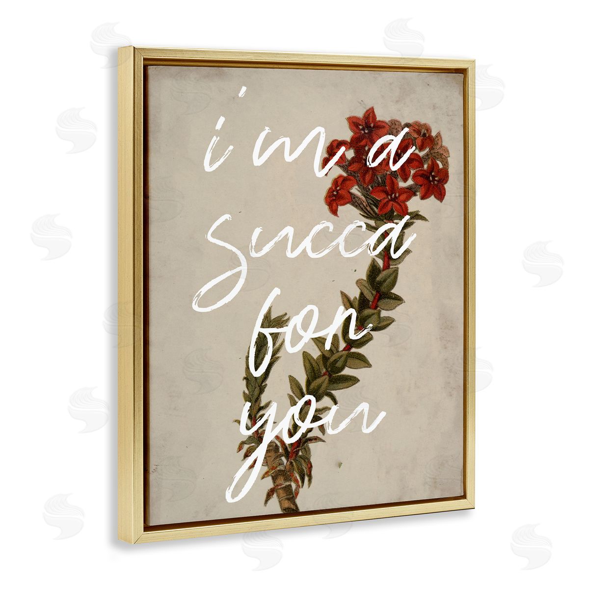 Stupell Studio Succa For You Romantic Witty Plant Humor Phrase  Gold Floating Frame Canvas Wall Art Print