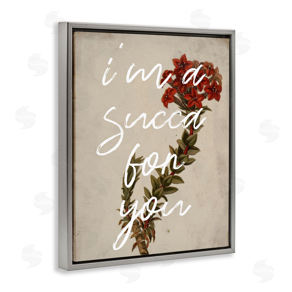 Stupell Studio Succa For You Romantic Witty Plant Humor Phrase  Gray Floating Frame Canvas Wall Art Print