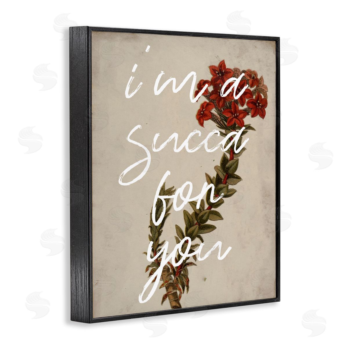 Stupell Studio Succa For You Romantic Witty Plant Humor Phrase  Black Framed Giclee Wall Art Print