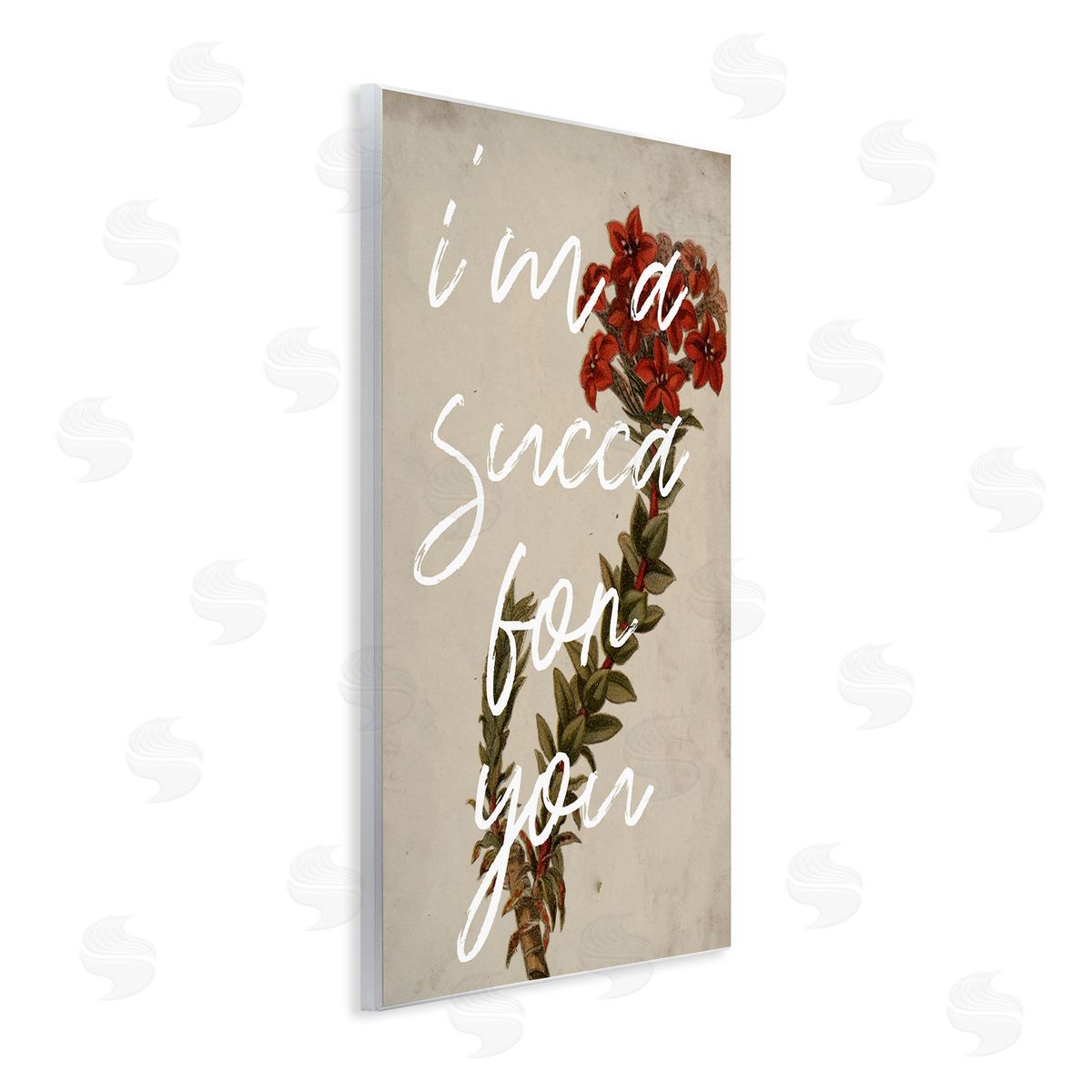 Stupell Studio Succa For You Romantic Witty Plant Humor Phrase  Wall Plaque Art Print