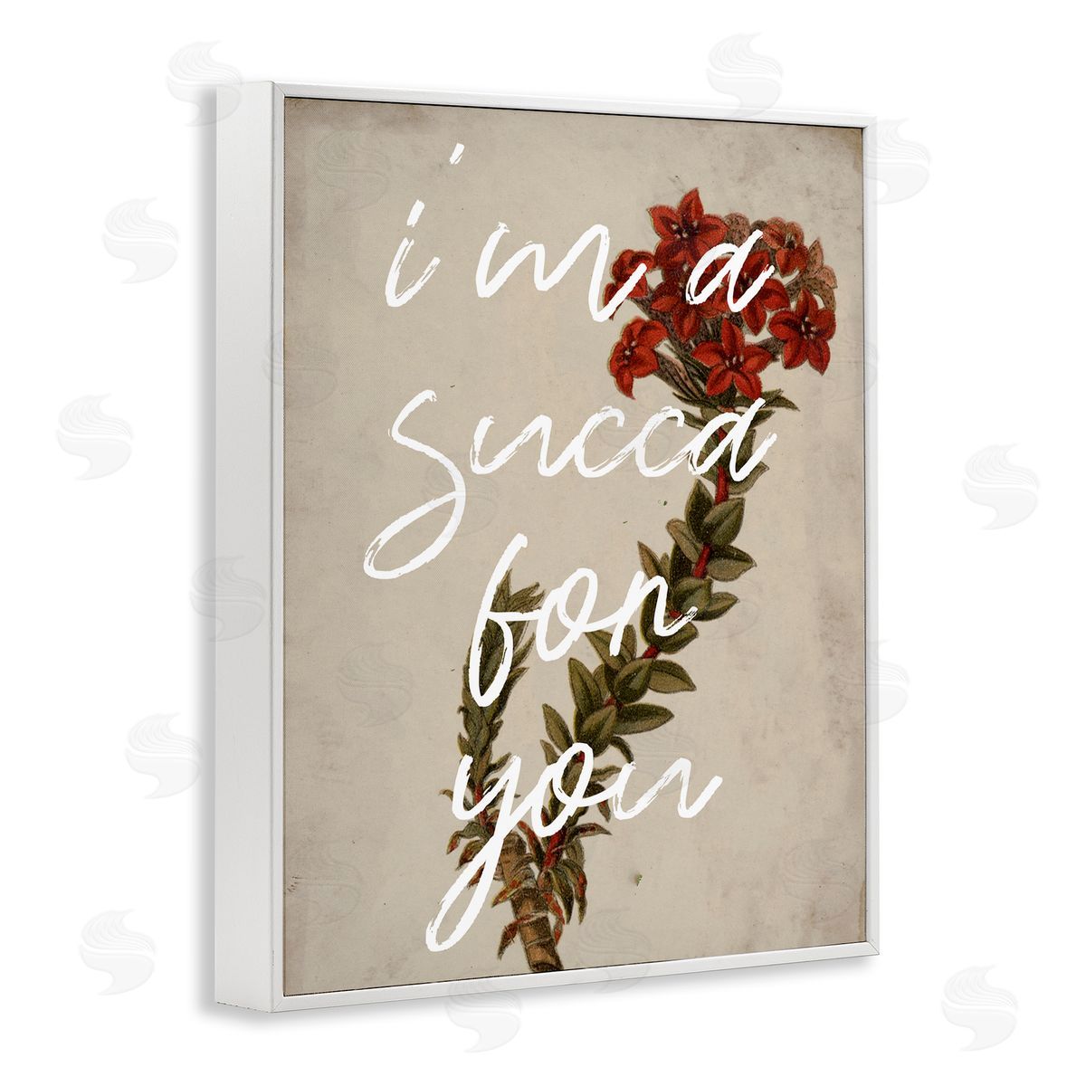 Stupell Studio Succa For You Romantic Witty Plant Humor Phrase  White Framed Giclee Wall Art Print