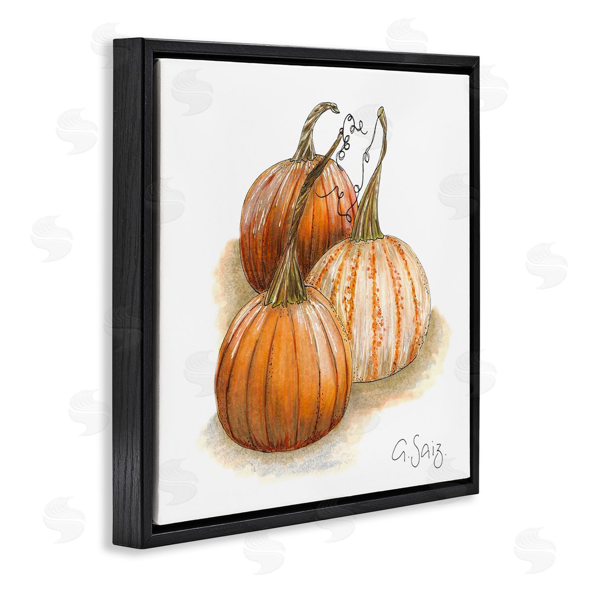Ale Saiz Studio Detailed Autumn Pumpkins Gourds Still Life Illustration Black Floating Frame Canvas Wall Art Print