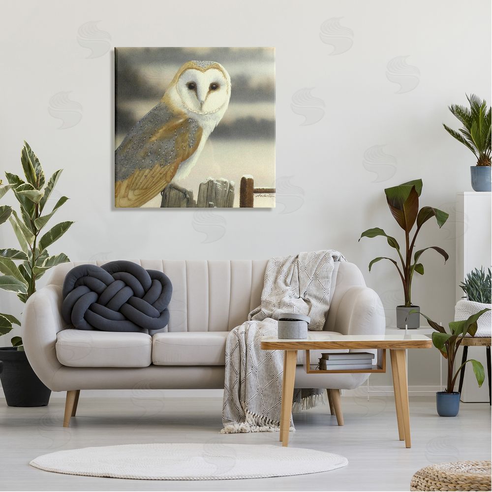Alan Weston Barn Owl Gazing Perched Niveous Rural Fence  Canvas Wall Art in Room