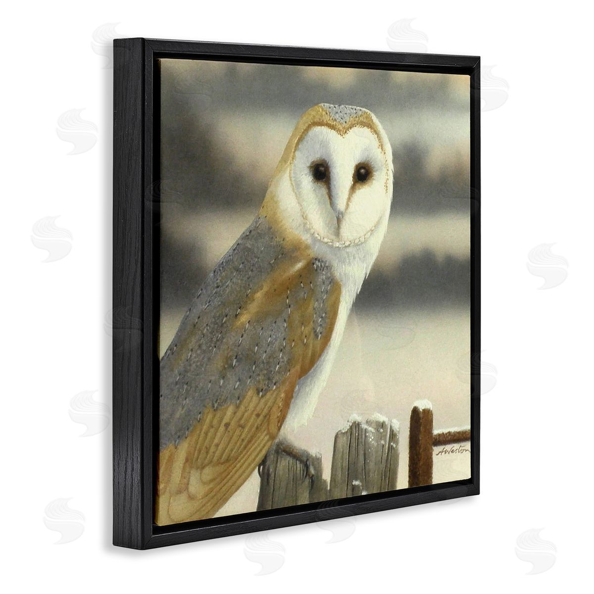 Alan Weston Barn Owl Gazing Perched Niveous Rural Fence  Black Floating Frame Canvas Wall Art Print