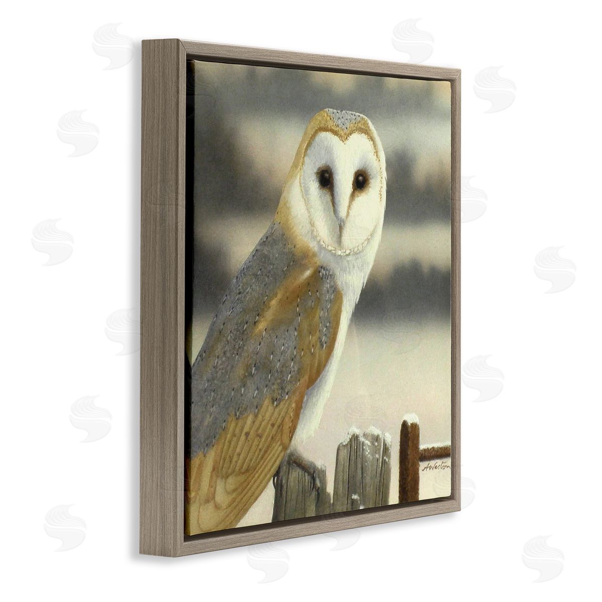 Alan Weston Barn Owl Gazing Perched Niveous Rural Fence  Brown Floating Frame Canvas Wall Art Print