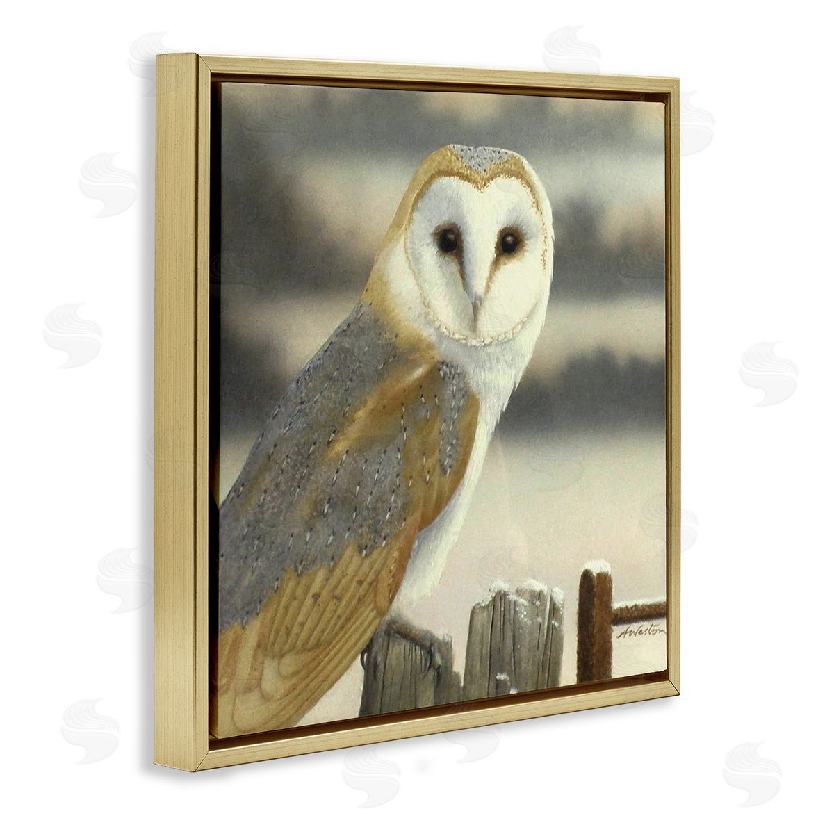 Alan Weston Barn Owl Gazing Perched Niveous Rural Fence  Gold Floating Frame Canvas Wall Art Print