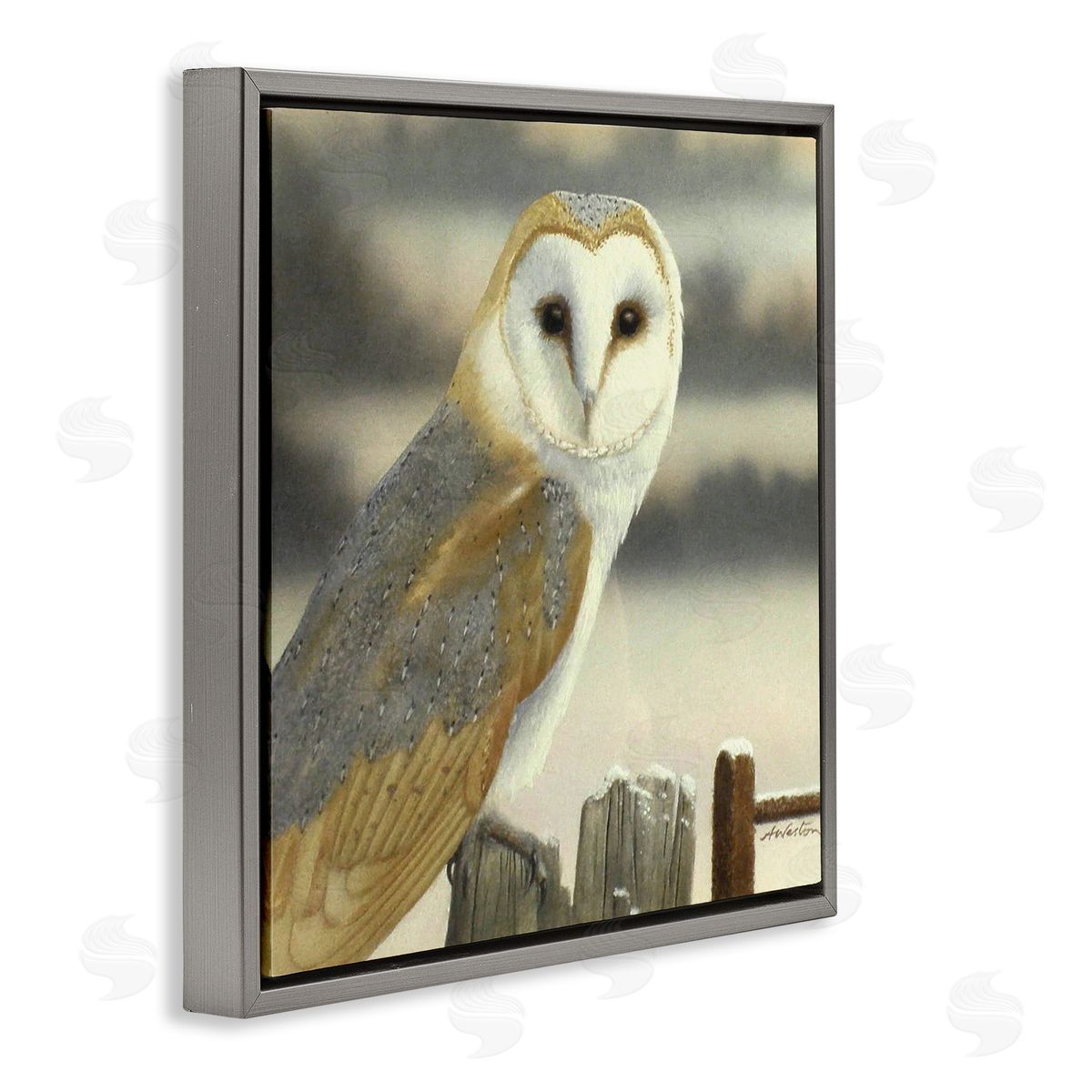 Alan Weston Barn Owl Gazing Perched Niveous Rural Fence  Gray Floating Frame Canvas Wall Art Print