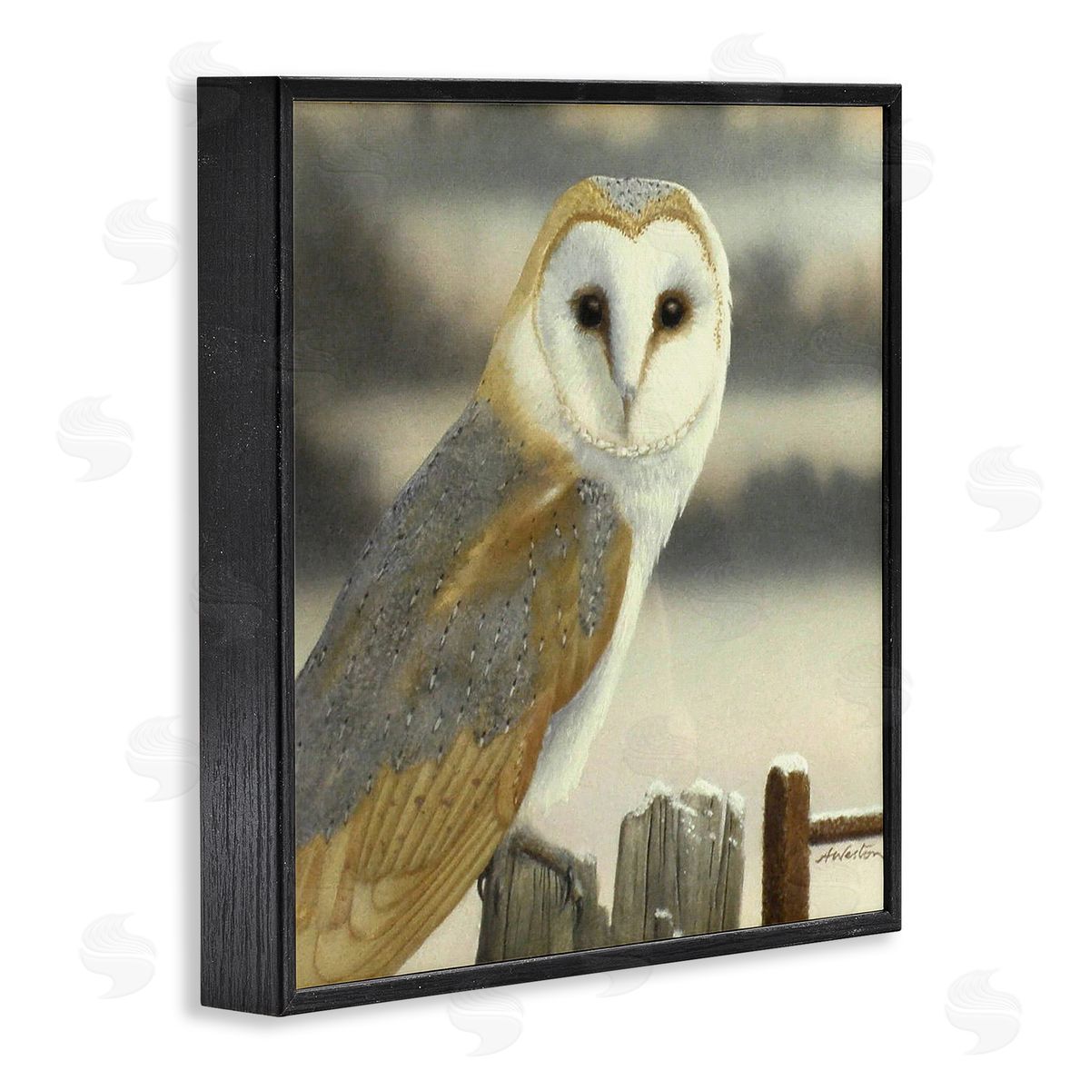 Alan Weston Barn Owl Gazing Perched Niveous Rural Fence  Black Framed Glicee Wall Art Print