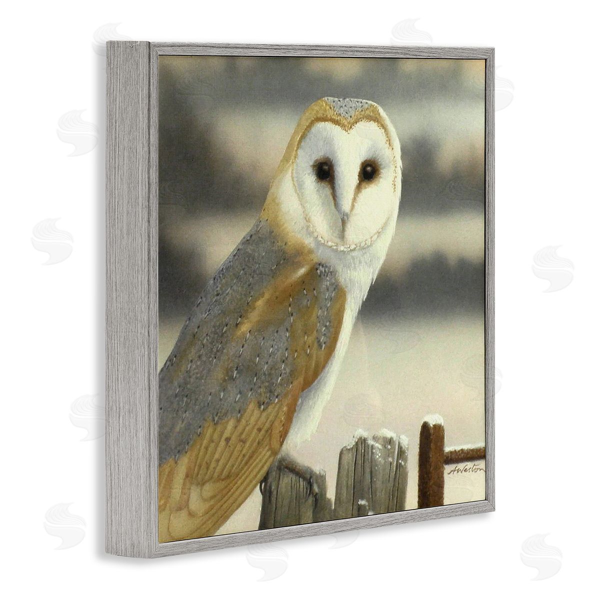 Alan Weston Barn Owl Gazing Perched Niveous Rural Fence  Gray Framed Glicee Wall Art Print
