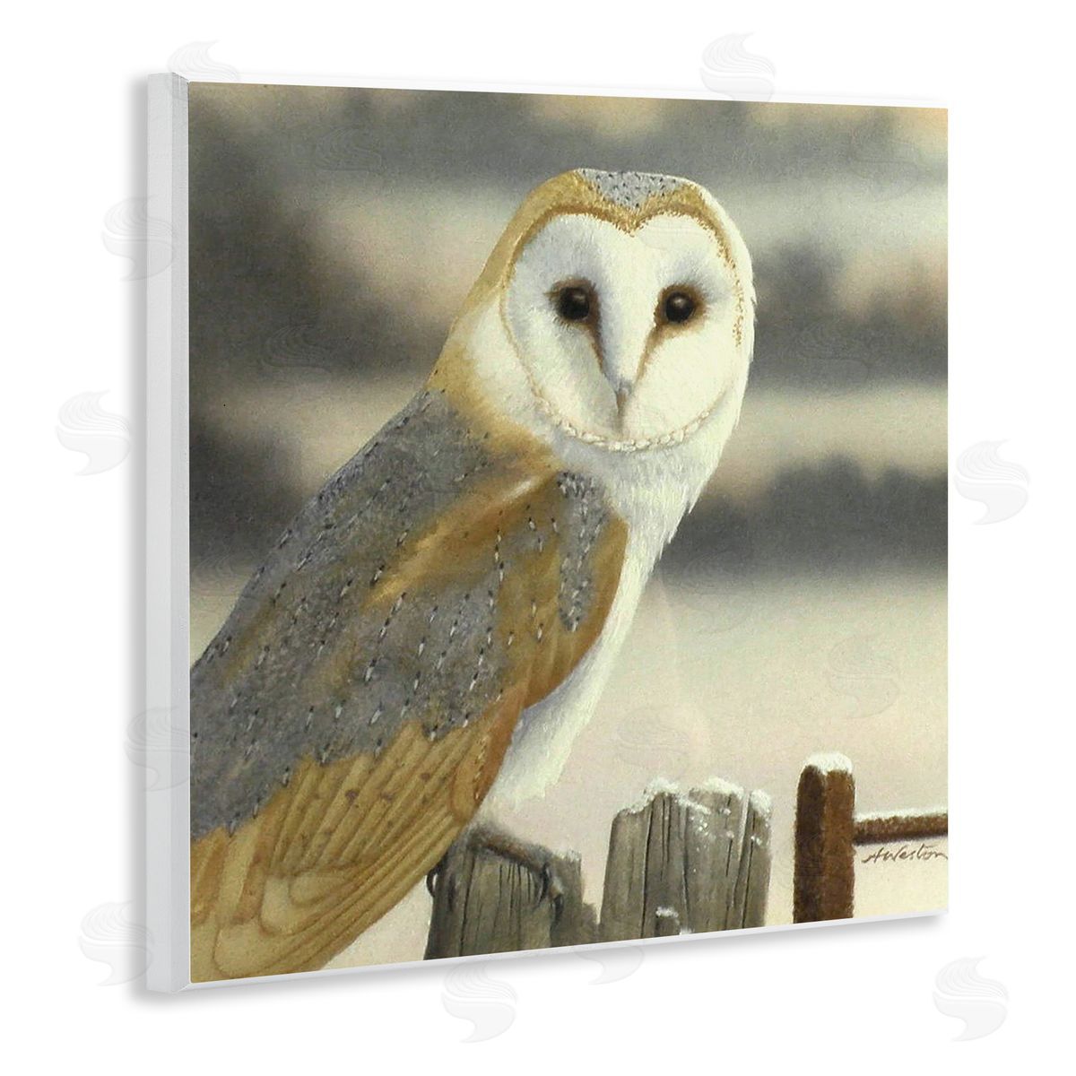Alan Weston Barn Owl Gazing Perched Niveous Rural Fence  Wooden Wall Plaque Art Print