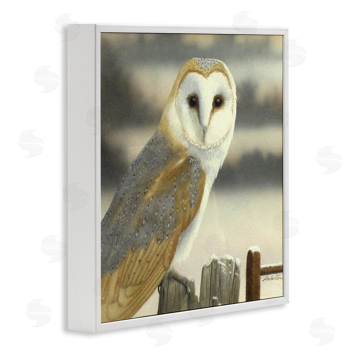 Alan Weston Barn Owl Gazing Perched Niveous Rural Fence  White Framed Glicee Wall Art Print